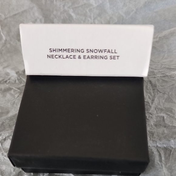 Silver Snowflake Necklace and Earring Set - Picture 4 of 4